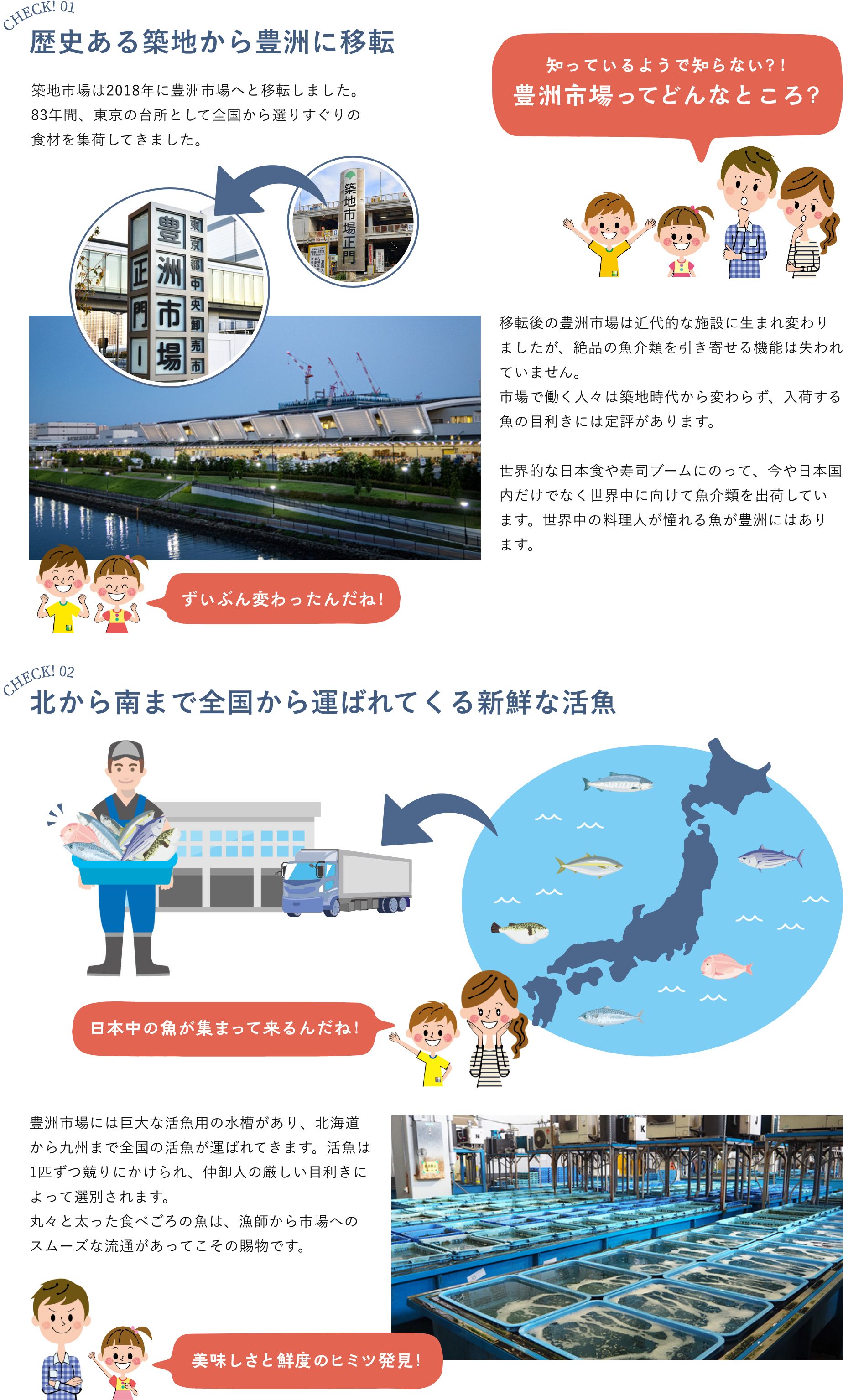 歴史ある築地から豊洲に移転 北から南まで全国から運ばれてくる新鮮な活魚