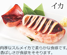 イカ 肉厚なスルメイカで柔らかな食感です。香ばしさが食欲をそそります。