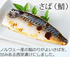 さば(鯖) ノルウェー産の脂のりがよいさばを、甘みある西京漬けにしました。