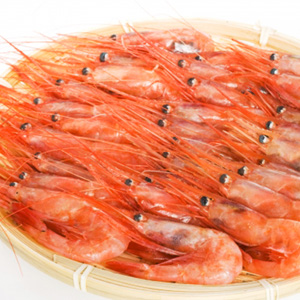 甘海老・ボタン海老