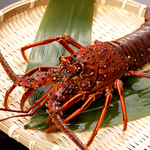 えび・オマール