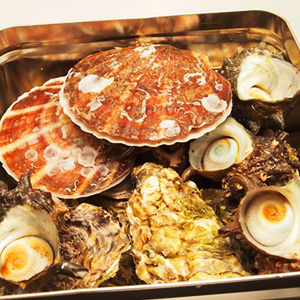 築地ガンガン焼き